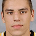 Milan-Lucic